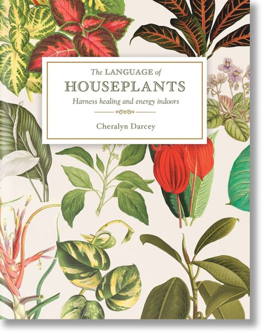 The Language of Houseplants