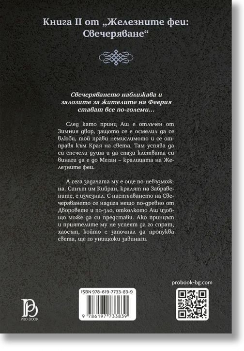 Железните Феи, книга 9: Железният меч