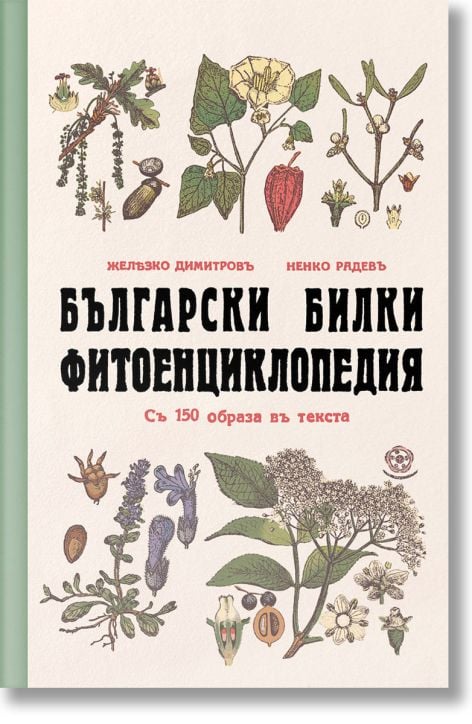 Български билки. Фитоенциклопедия