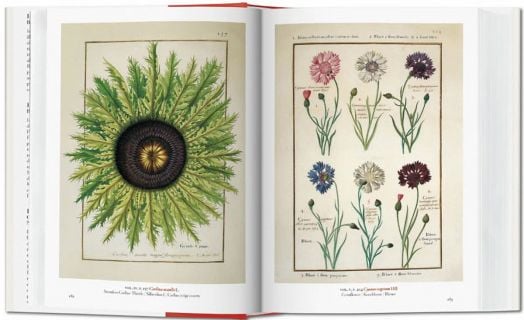 A Garden Eden. Masterpieces of Botanical Illustration. 40th Ed.