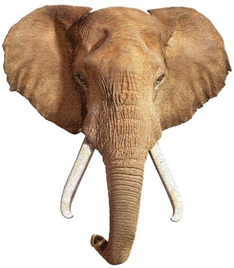 Пъзел Madd Capp: Слон, 700 части