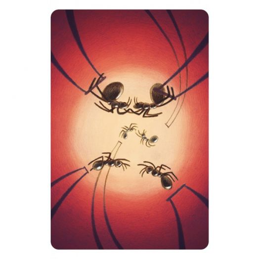 Разширение за настолна игра Dixit: 8 Harmonies