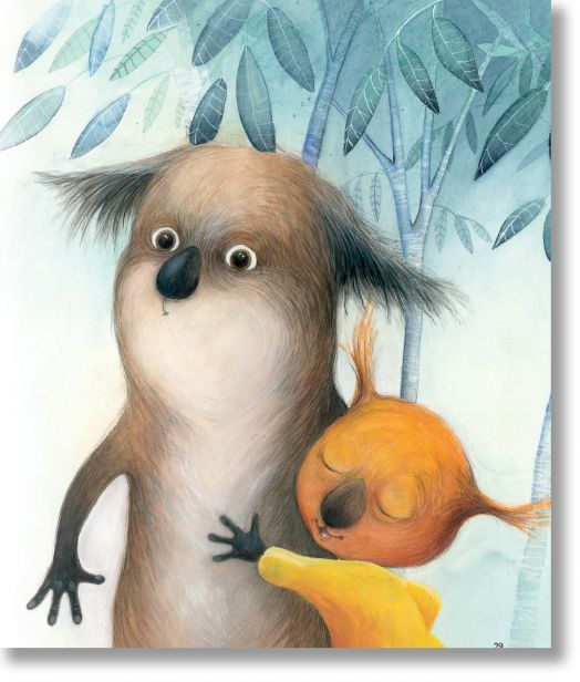 Моли, твърди корици