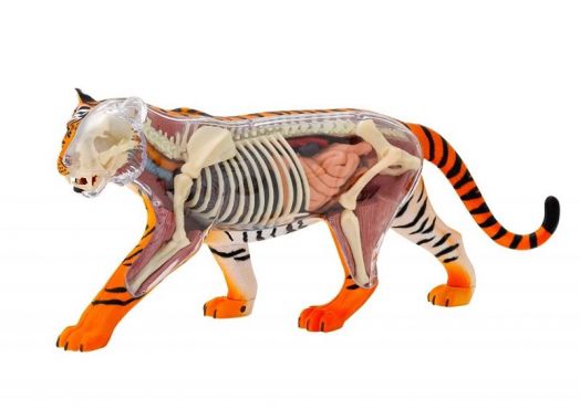 Конструирай модел на тигър Thames & Kosmos