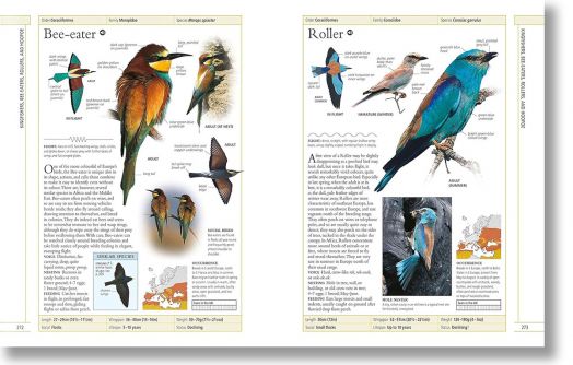 Complete Birds of Britain and Europe