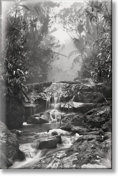 Sebastiao Salgado. Amazonia, Magnet 'Creek'