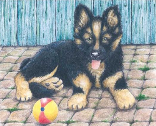 Дървени кубчета Goki - Животни от фермата