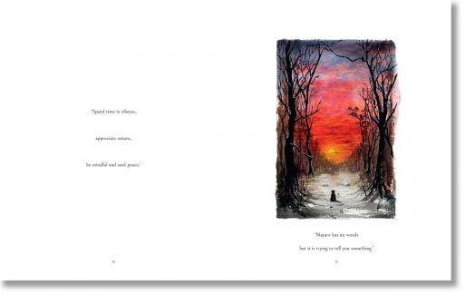 The Cat Who Taught Zen