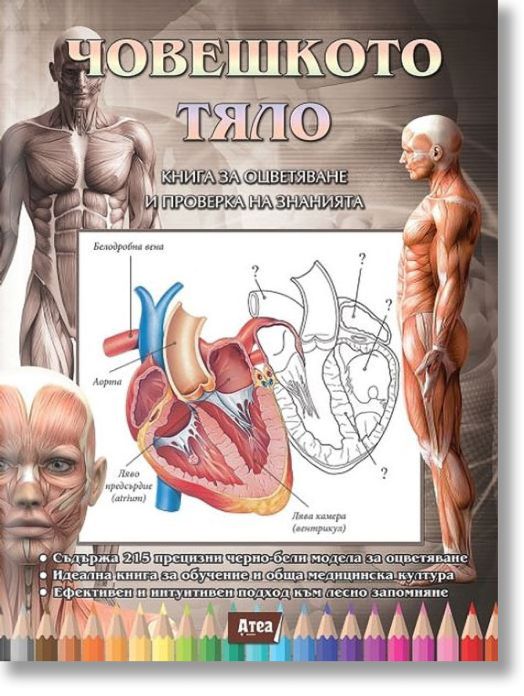 Човешкото тяло. Книга за оцветяване и проверка на знанията