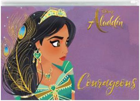 Папка Aladdin с цип