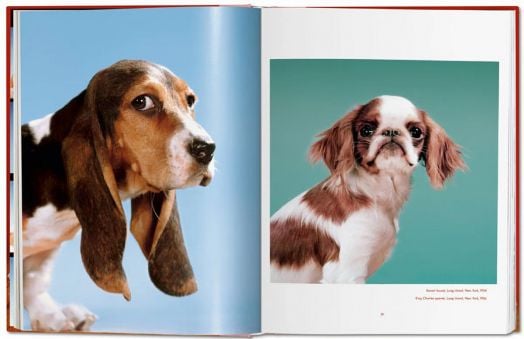 Walter Chandoha. Dogs. Photographs 1941-1991