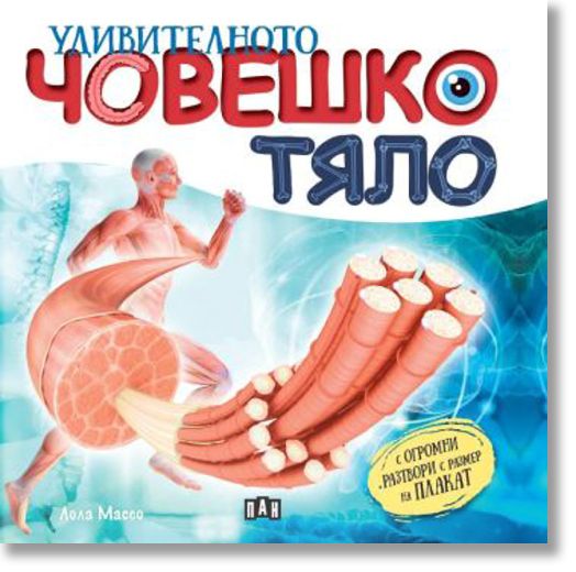 Удивителното човешко тяло