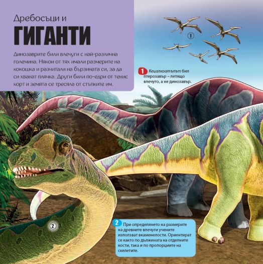 Панорамна книга с капачета: Динозаври