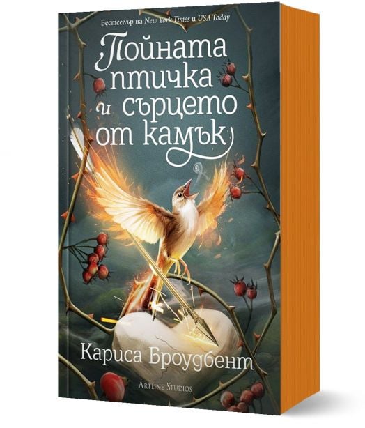 Пойната птичка и сърцето от камък, мека корица