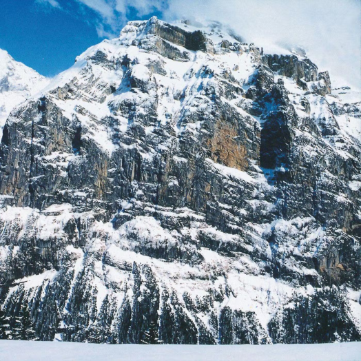 I Am Not A Doctor, 2 VINYL