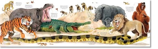 Big Book of Big Animals