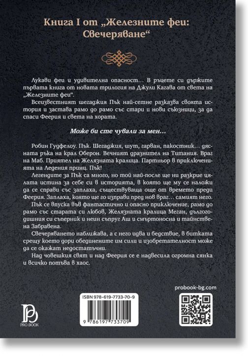 Железните Феи, книга 8: Железният гарван