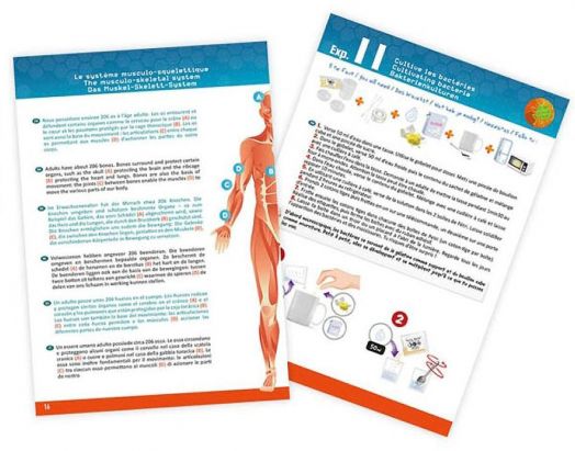Научен комплект Buki: Човешкото тяло с 12 експеримента