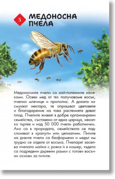 Образователни карти: 100 животни от България