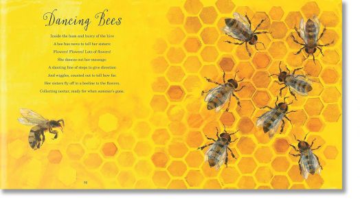 A First Book of Animals