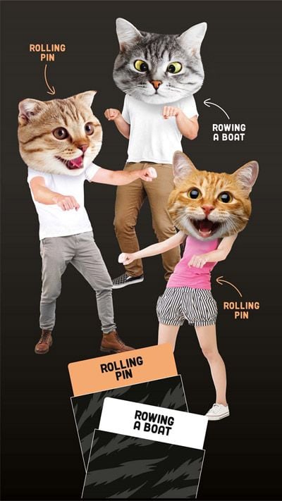 Игра Professor Puzzle: Like Herding Cats