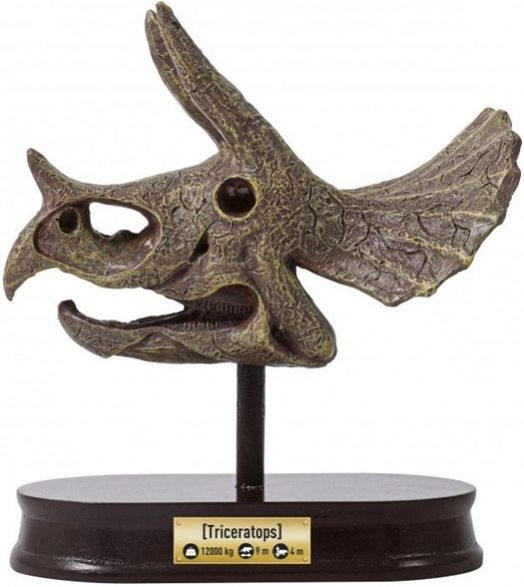 Изследователски комплект Buki - Череп на динозавър Трицератопс