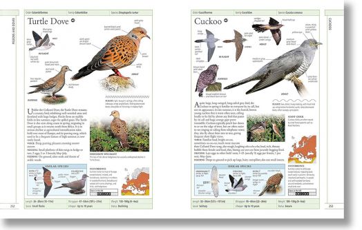 Complete Birds of Britain and Europe