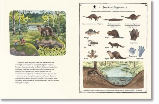 Випс на леда