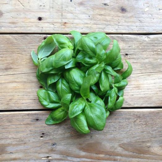 Семена за доматен сос Piccolo, 3 вида