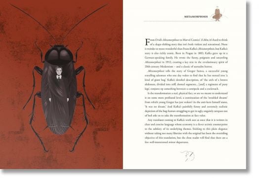 Metamorphosis (Arcturus Illustrated Classics)