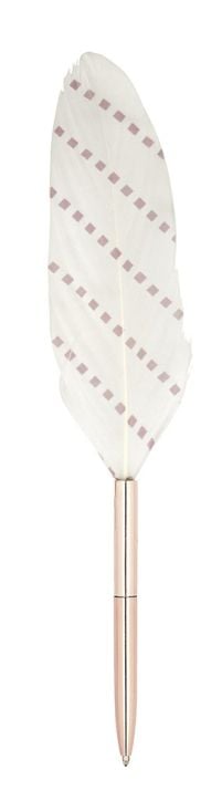 Химикалка с перо