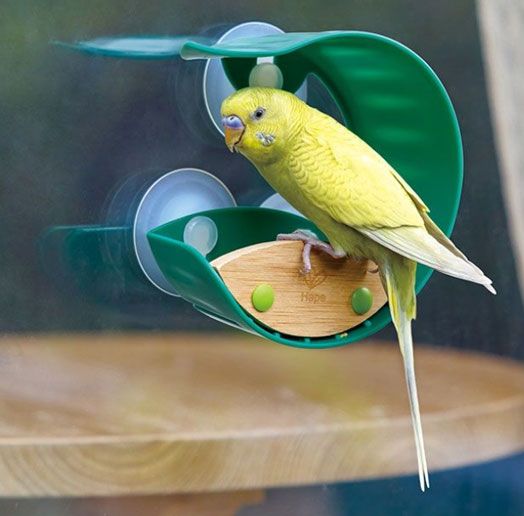 Детска играчка Hape - Хранилка за птици