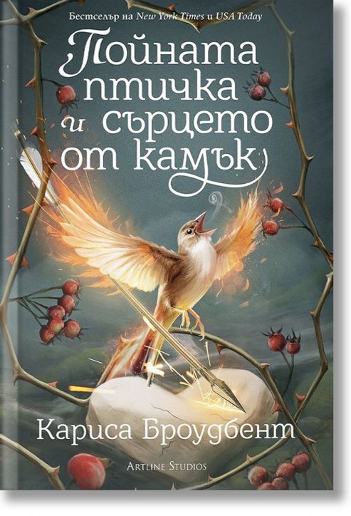 Пойната птичка и сърцето от камък, мека корица