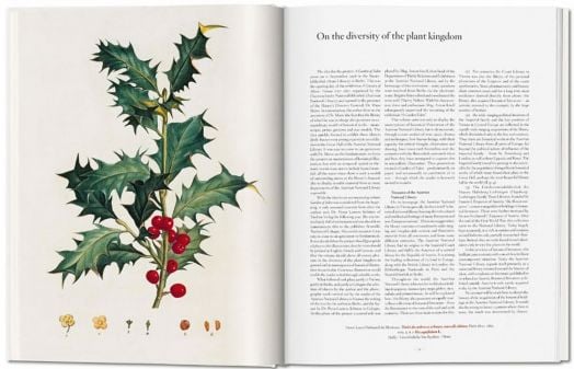 A Garden Eden. Masterpieces of Botanical Illustration