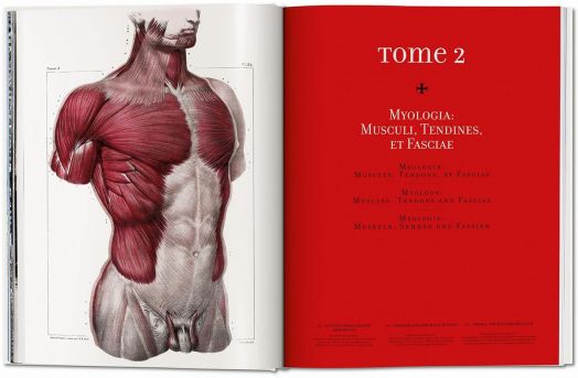 Atlas of Human Anatomy and Surgery