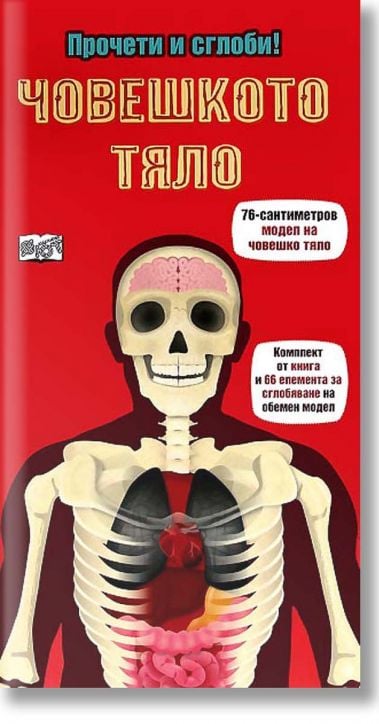Прочети и сглоби! Човешкото тяло