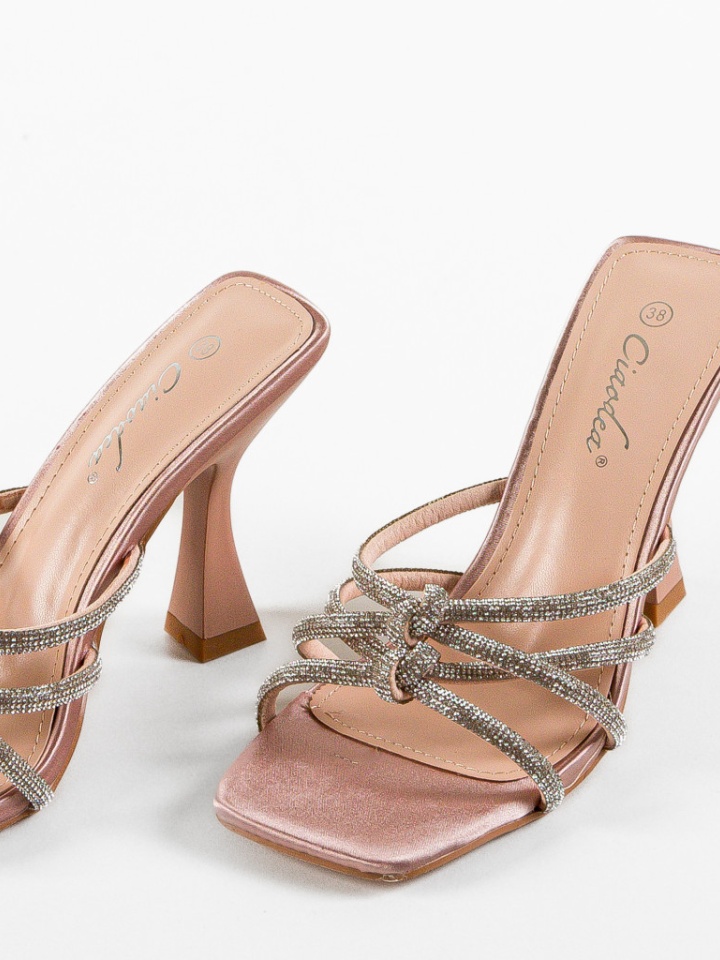 Saboti dama Rafael Roz