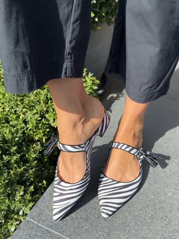 Saboti dama Grego Zebra