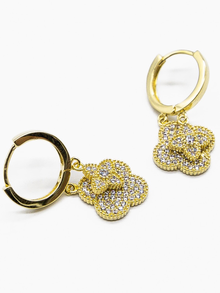 Cercei Pegonia Aurii