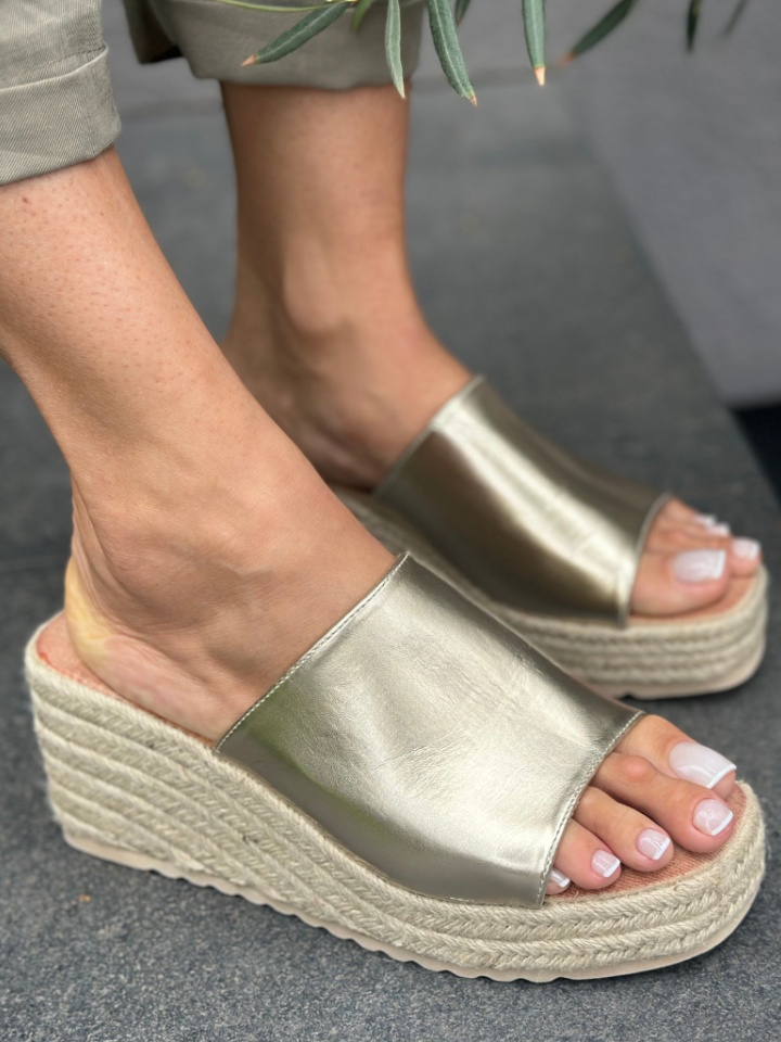 Saboti dama Fuku Negri