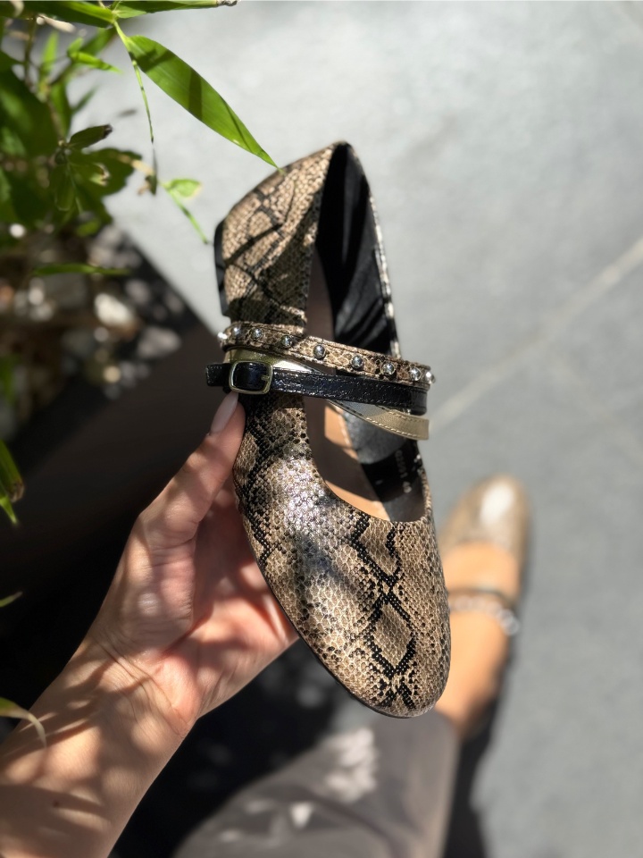 Balerini dama Doher Negri