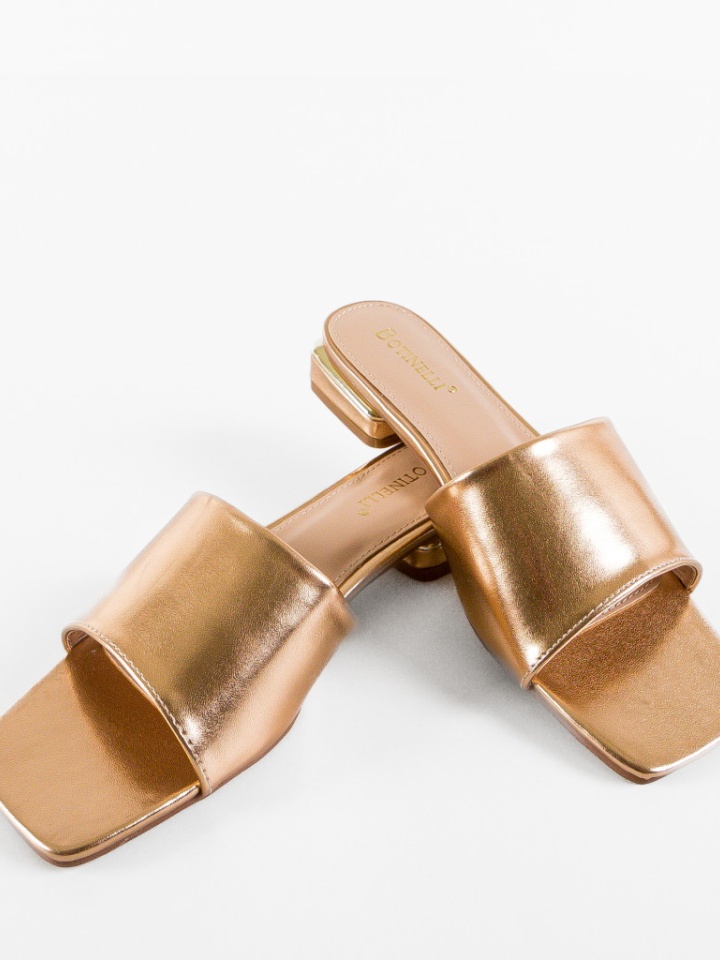 Saboti dama Maija Aurii