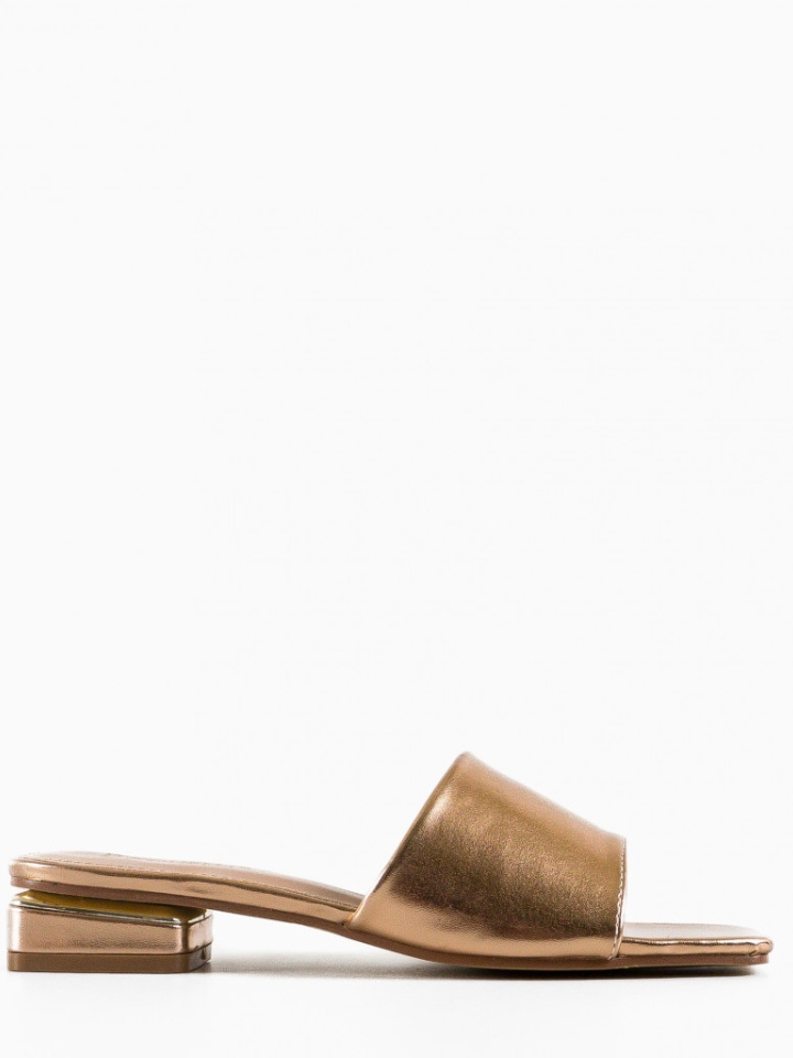 Saboti dama Maija Aurii