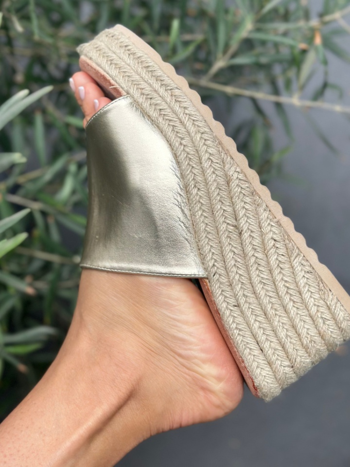 Saboti dama Fuku Negri