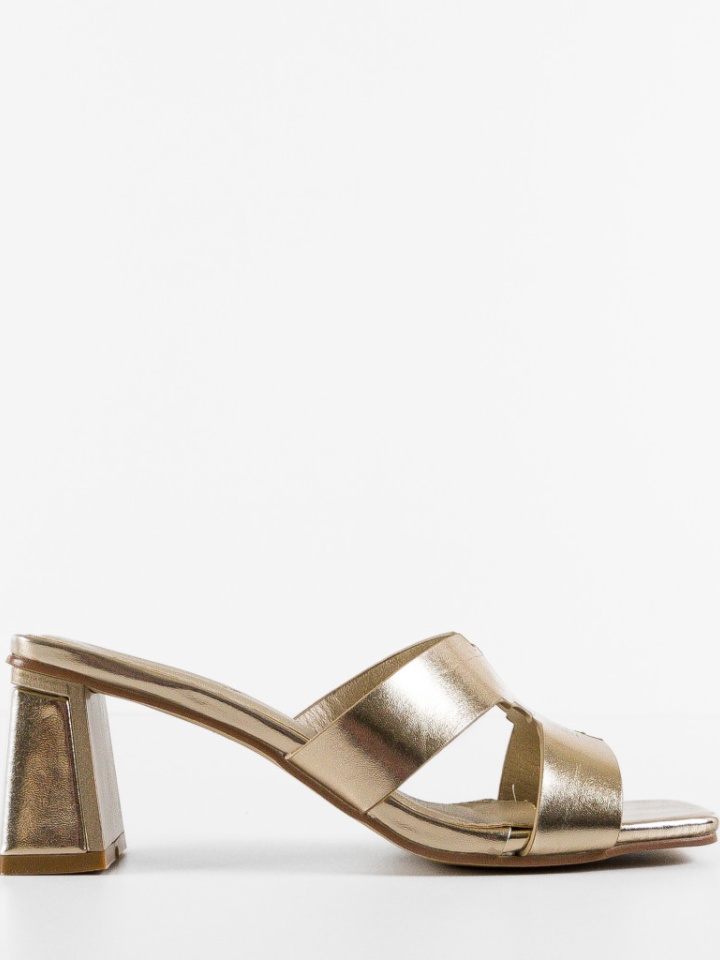 Saboti dama Hikmat Argintii