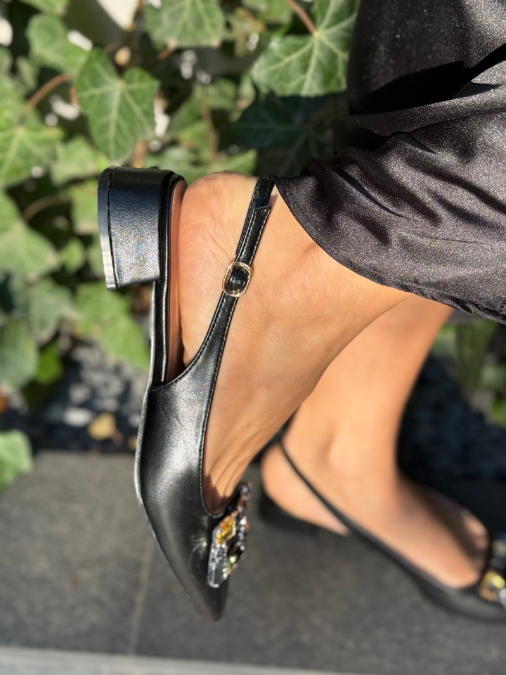 Balerini dama Migger Aurii