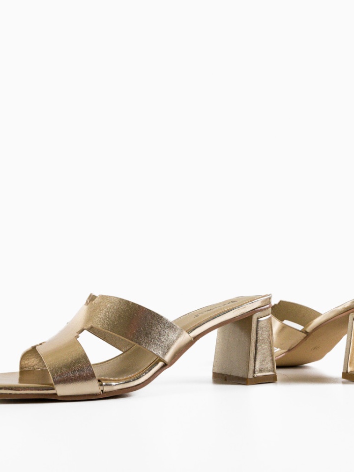 Saboti dama Hikmat Argintii