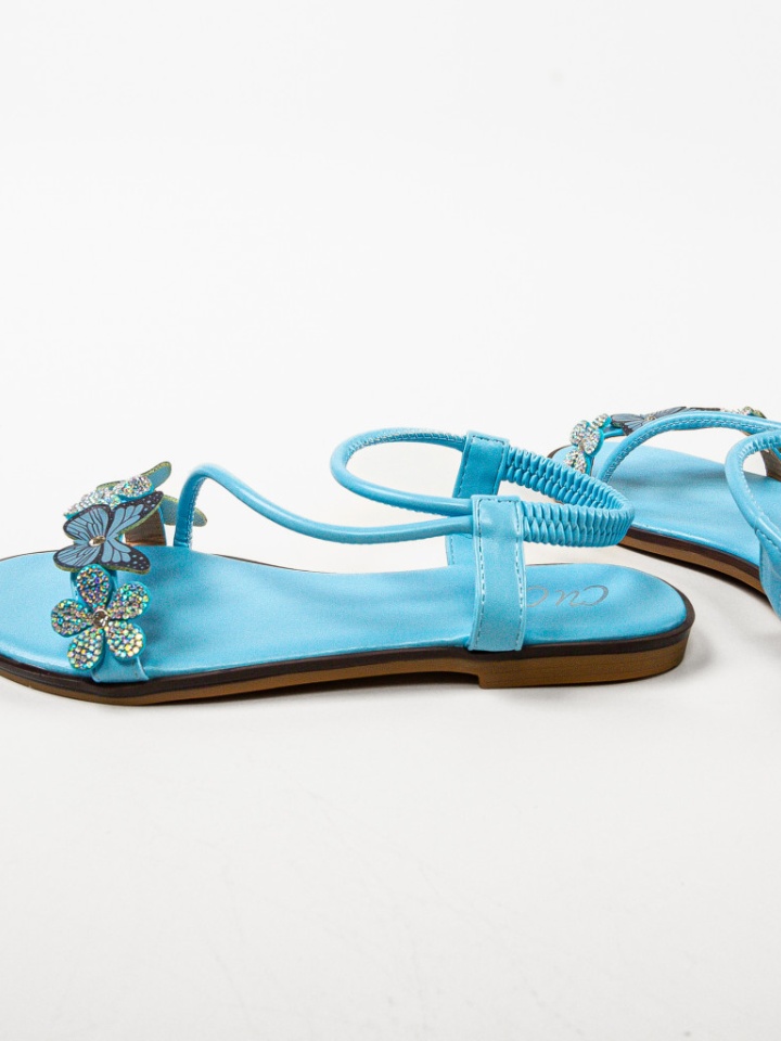 Baleirni dama Lahore Albastre