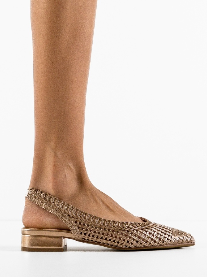 Balerini dama Frenchie Aurii