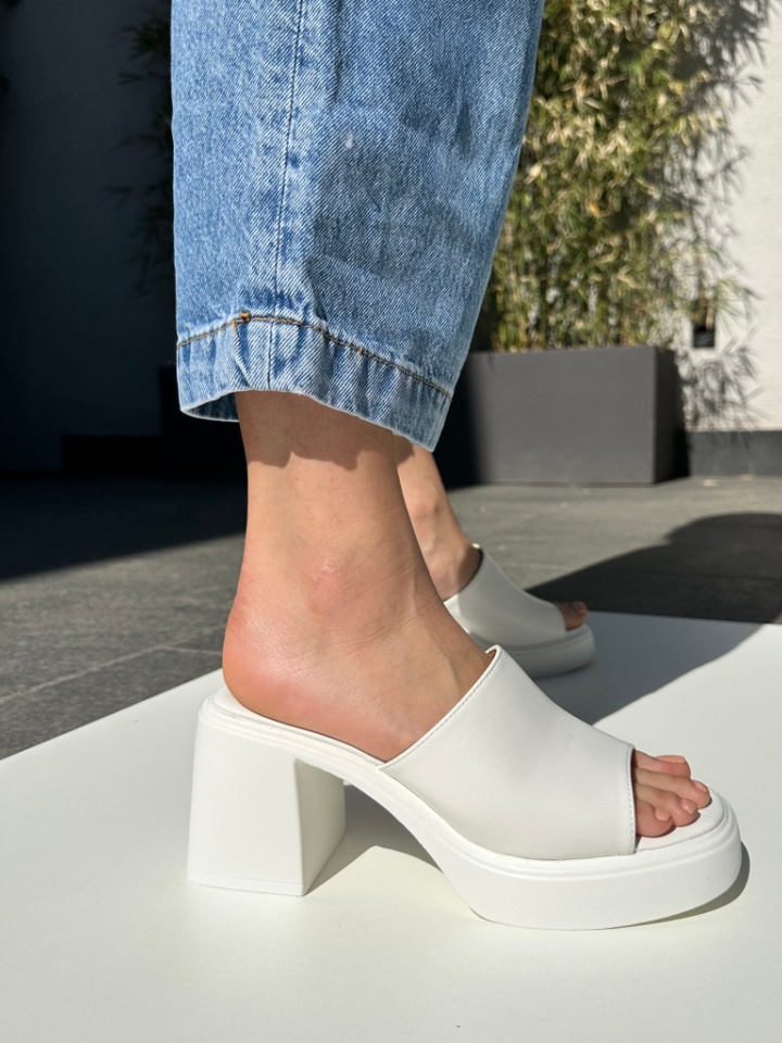 Saboti dama Alan Negri